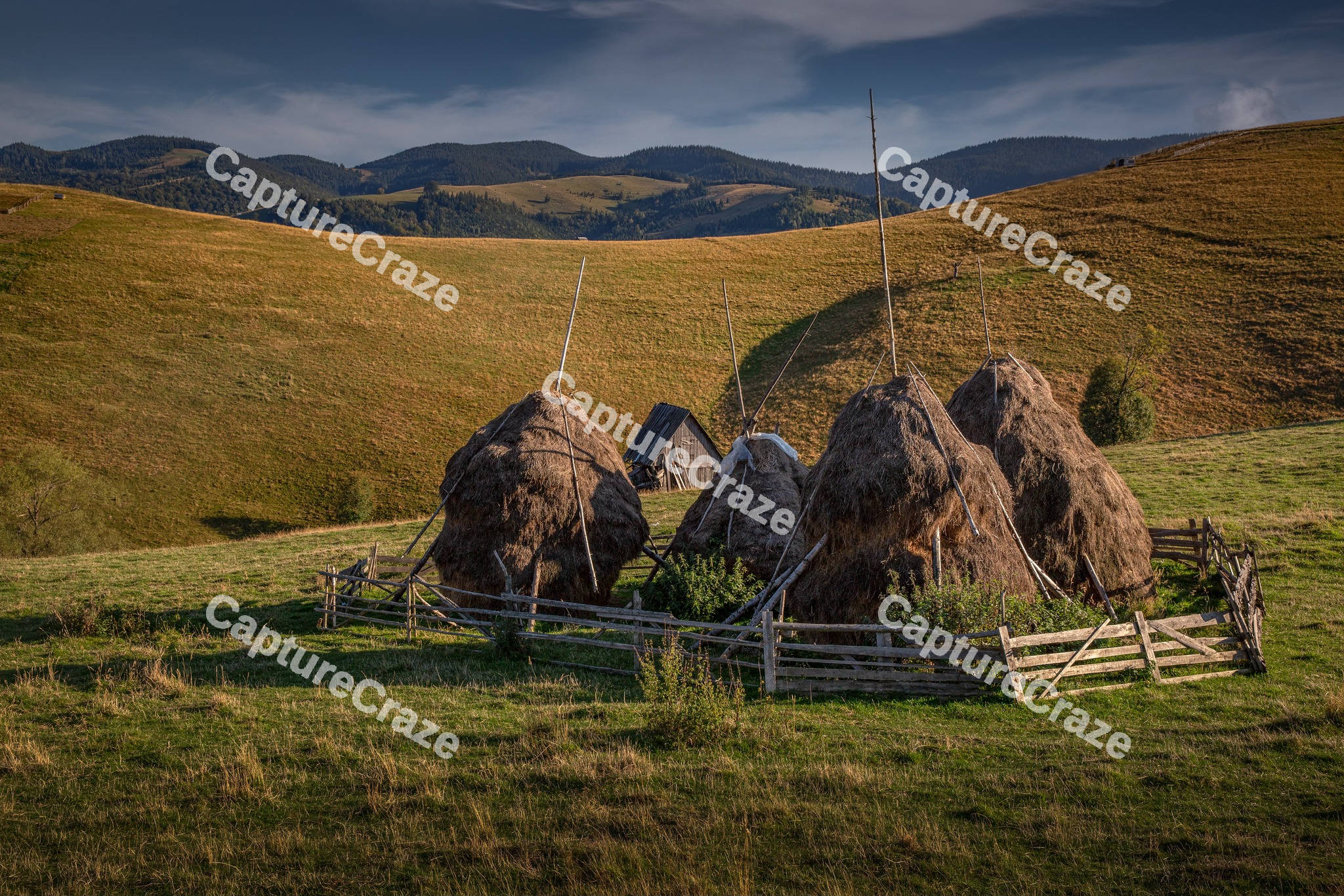 Rural Green landscape
